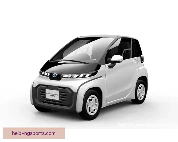 围绕雷丁俱乐部发展历程与未来规划的综合分析与展望