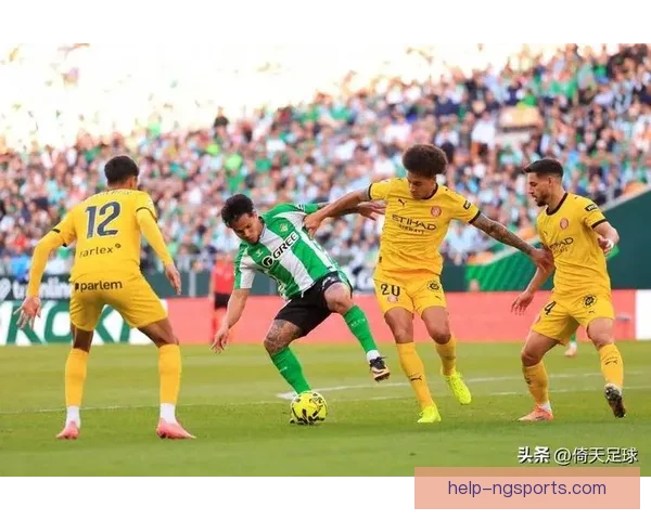 RB莱比锡最新动态解析：球队阵容调整与未来赛季展望全面解读